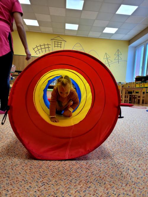 Spadla hruška ze stromu